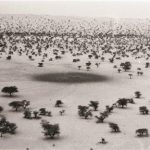 Filmes_de_19_paises_estao_na_Competitiva_Suzanne_Daveau