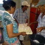 Galinha_organica_ovos_caipira__BAHIA_PRODUTIVA