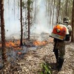 Parceria_fortalece_o_enfrentamento_aos_incndios_florestais