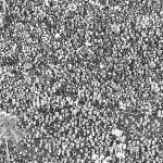 Sobregentes_Nilton-Souza