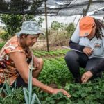 As_mulheres_agricultoras_familiares_no_Rural_Produtivo