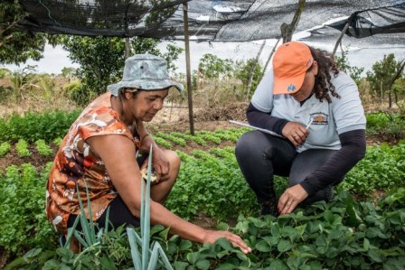 As_mulheres_agricultoras_familiares_no_Rural_Produtivo