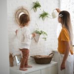 Aprenda_a_escolher_a_planta_certa