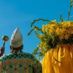 Bembe_do_Mercado_lancara_portal