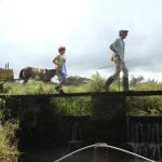 Mostra_online__A_bicicleta_do_vovo