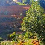 Greenpeace_apoia_petio