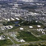 Polo_de_Camaari_promove