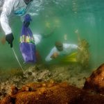 Paramana-Nature-1---Foto-Ivan-Cavas