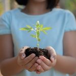 Shoppings_realizam_acoem_Meio_Ambiente