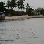 Bahia_ganha_mini_doc_Winston_Nascimento_-_Saubara