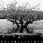 lancamento_do_Disco_2020