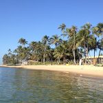 Praia_do_Forte2-Marcello_Fontes