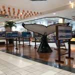 Exposio_fotogrfica_30_anos_do_Projeto_Baleia_Jubarte_no_Shopping_Paralela__1