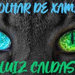 Luiz_Caldas_lana_disco_danante