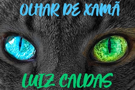 Luiz_Caldas_lana_disco_danante