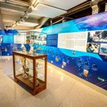 Aniversrio_de_Salvador_Museu_do_mar