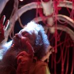 JONAS_._foto_._Ariel_L_Dibernaci_3