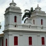 Mam_-_crdito_da_foto_Thiago_Del_Rey