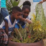 Colegio_Estadual_em_Mata_Escura