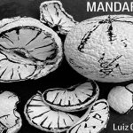 Luiz_caldas_mandarina