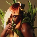 Dendezeiro_Foto_kevinoux_1