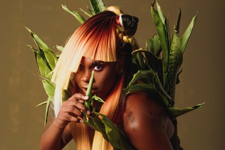 Dendezeiro_Foto_kevinoux_1