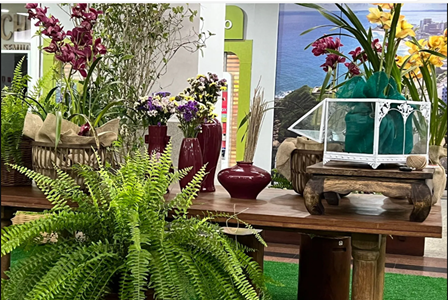 Shopping_Itaigara_celebra_a_chegada_da_Primavera