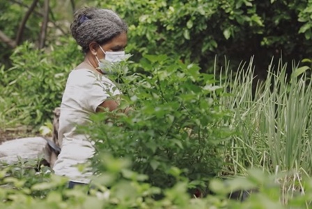 Documentariodo_Greenpeace_Brasil