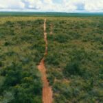 Nova_rea_de_soltura_de_animais_silvestres_protege_biodiversidade_na_Bahia