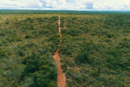 Nova_rea_de_soltura_de_animais_silvestres_protege_biodiversidade_na_Bahia