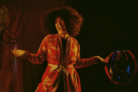 Em_30_anos_de_carreira_Felcia_de_Castro_vem_desenvolvendo_um_trabalho_como_artista_cnica_baseado_na_comicidade