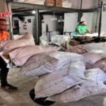 Iniciativa_de_gesto_de_reaproveitamento_de_txteis_se_mostra_fundamental_no_combate_s_alteraes_climticas