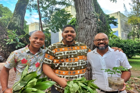 Podcast_Ax_das_Plantas_Traz_no_3_Episdio_A_Umburana_De_Cheiro_usada_pelas_Comunidades_Tradicionais_Para_Gripes_Resfriados_e_Bronquite